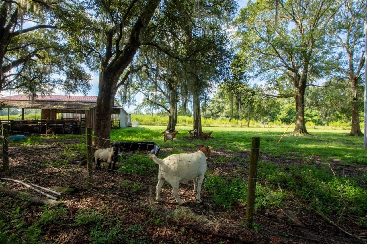 9284 NW County Road 225 , Starke, FL 32091 Photo