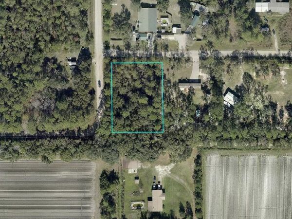 5131 PECAN AVENUE , BUNNELL, FL 32110
