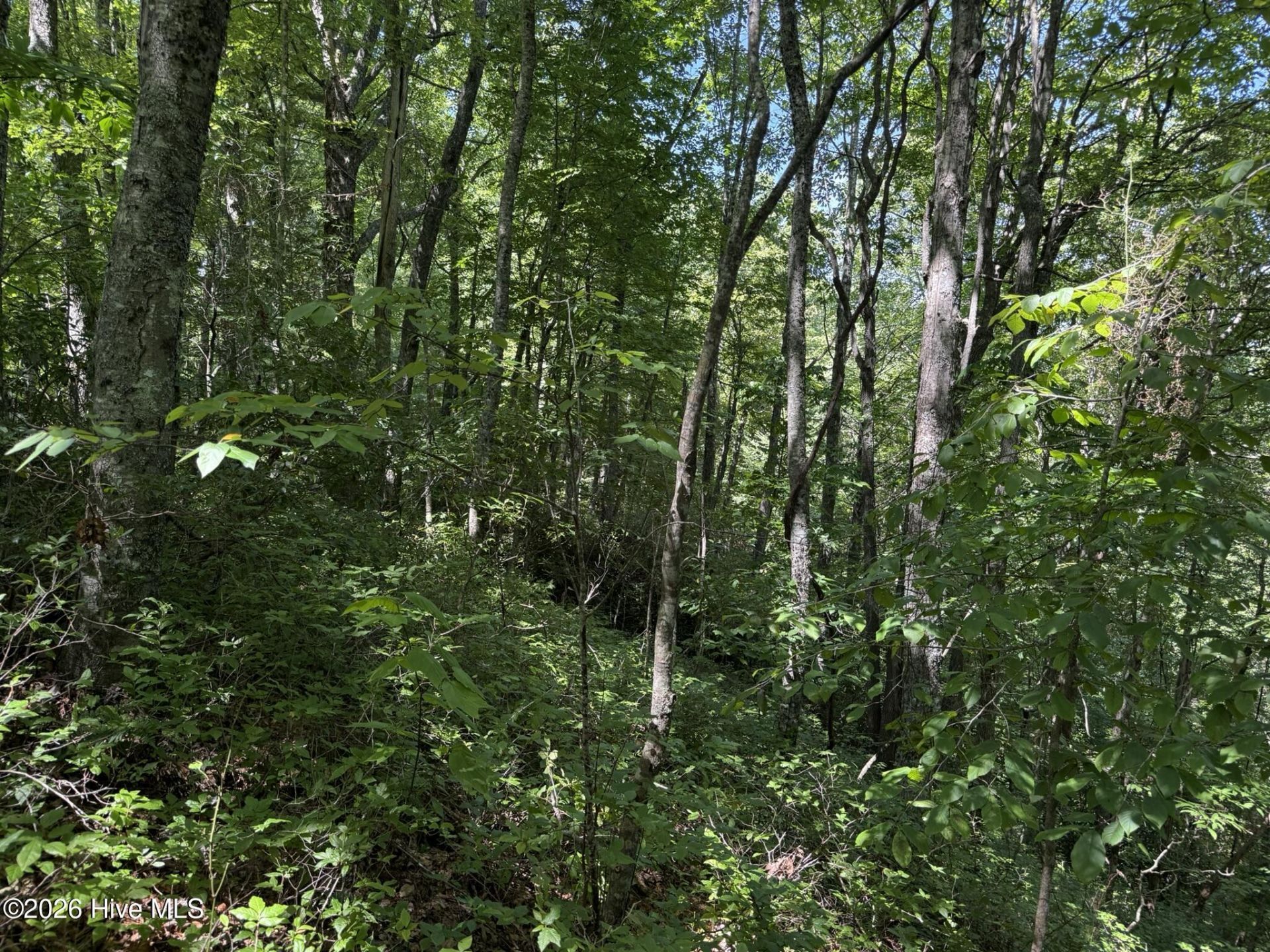 Lot 2 Amber Lane, Topton, NC 28781 Main Photo
