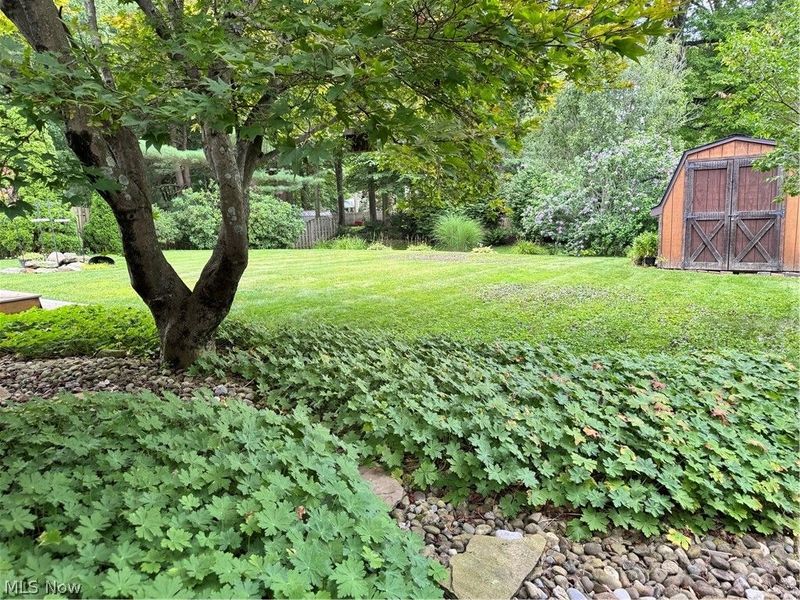 7763 Raglan Drive NE, Warren, OH 44484 Photo 4