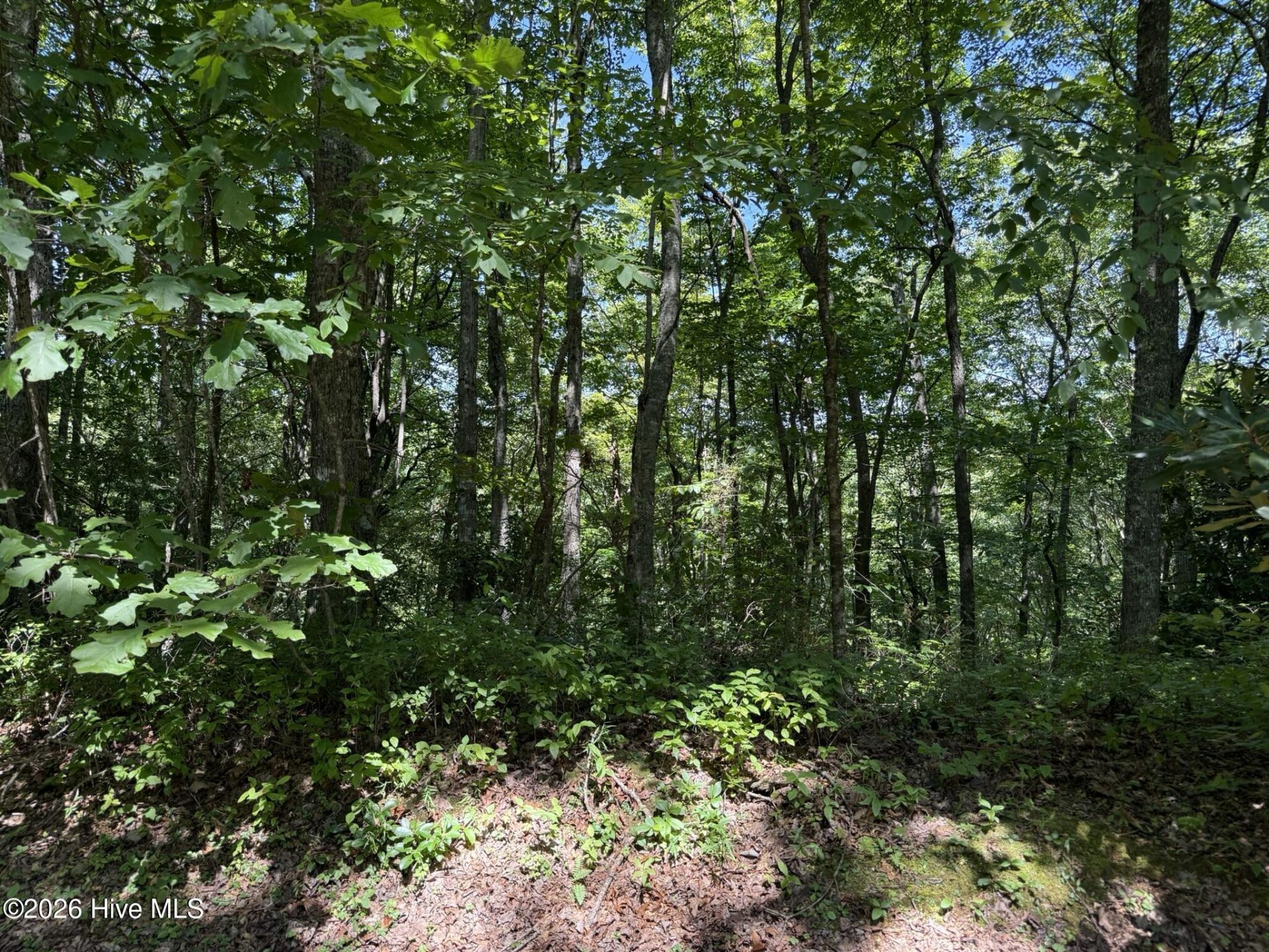 Lot 3 Amber Lane, Topton, NC 28781 Main Photo