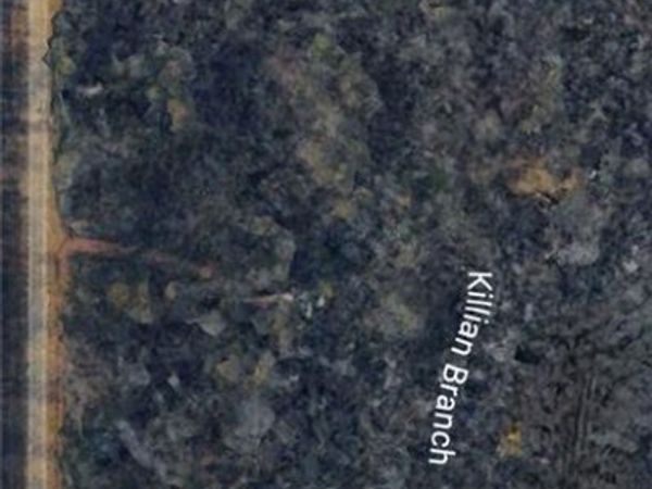 TBD HIGHWAY 16 Highway , Amite, LA 70422