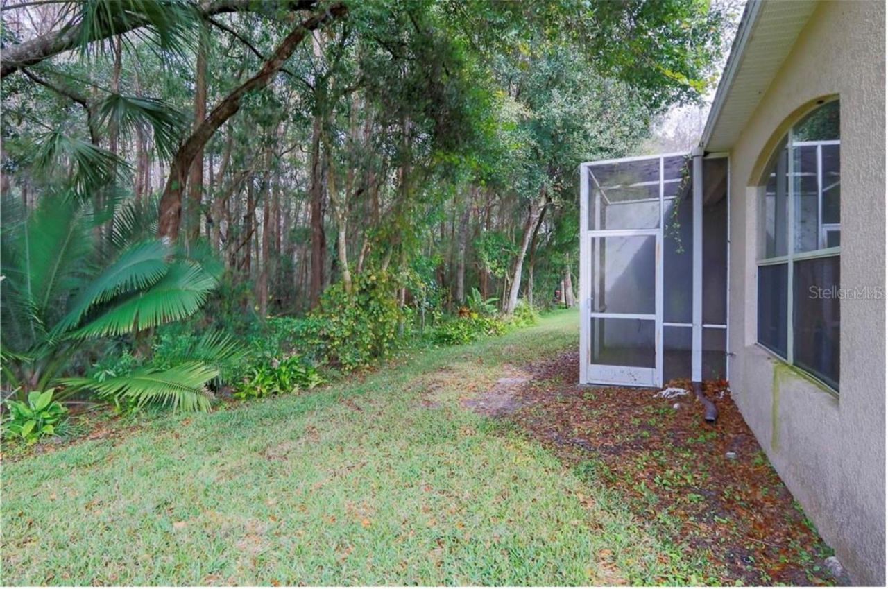 7633 Wimpole Drive, New Port Richey, FL 34655 Photo