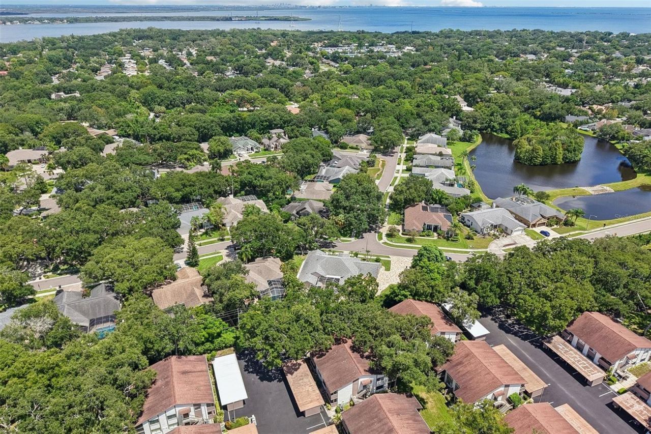 1701 Country Trails Drive, Safety Harbor, FL 34695 Photo