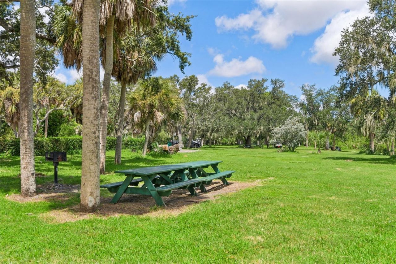 1701 Country Trails Drive, Safety Harbor, FL 34695 Photo
