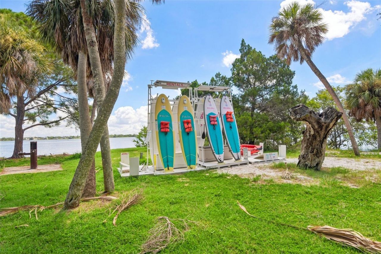 1701 Country Trails Drive, Safety Harbor, FL 34695 Photo