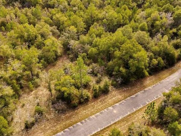 LOT# 42 DANDELION DRIVE , CHIPLEY, FL 32428