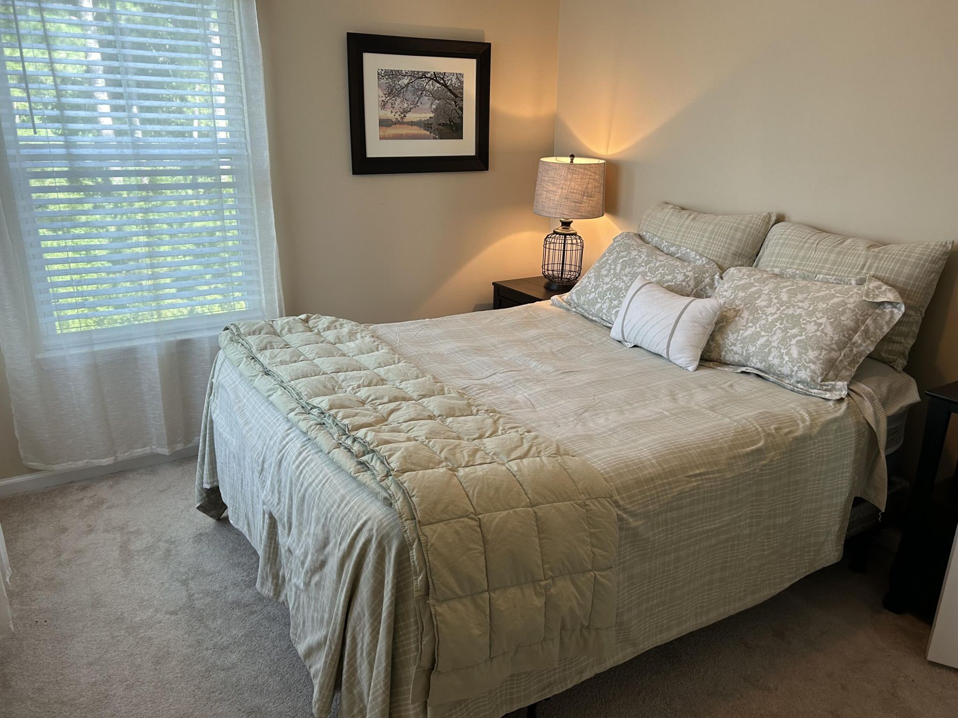 1542 Bluewater Way Photo 17