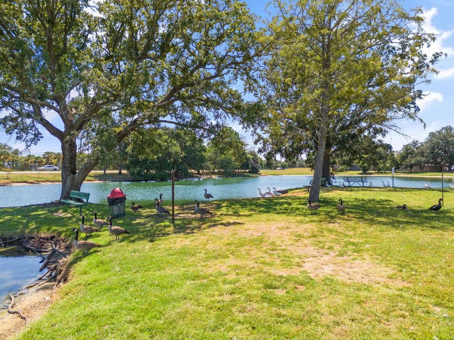 Property Image 62