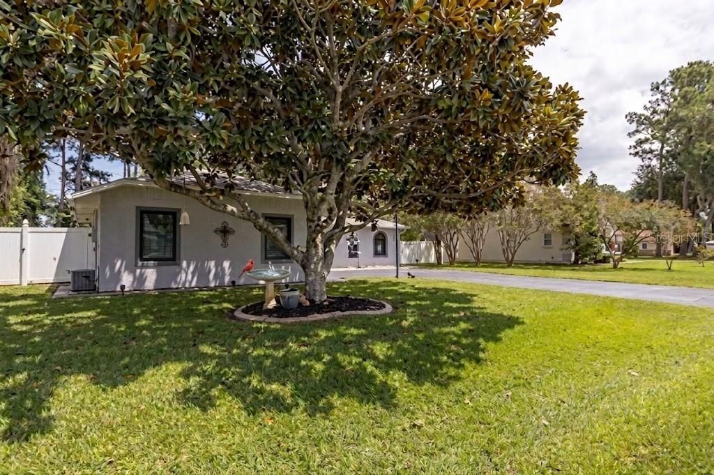 6 Boxwood Lane, Palm Coast, FL 32137 Photo