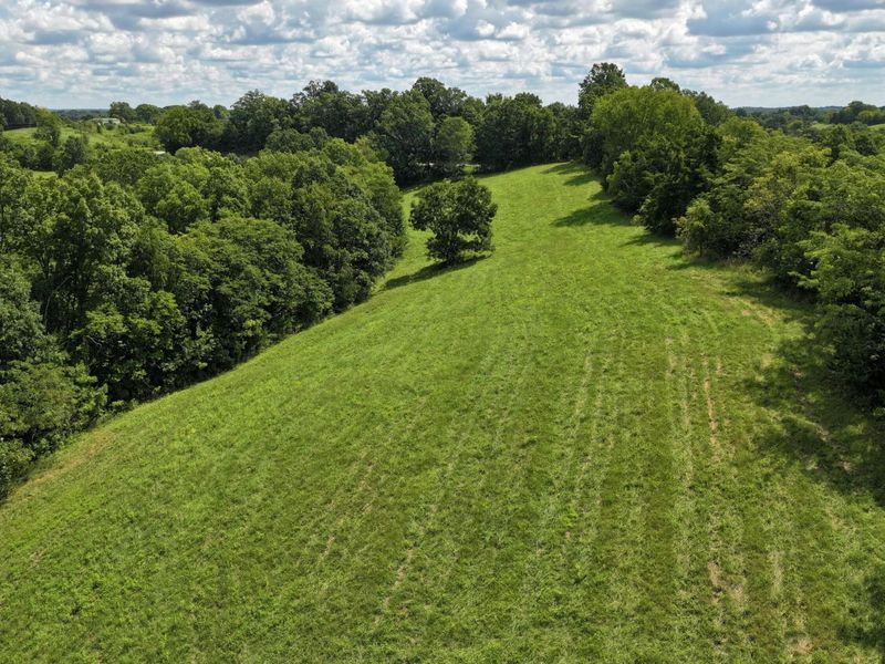 7805 Georgetown Road, Owenton, KY 40359 Photo 48