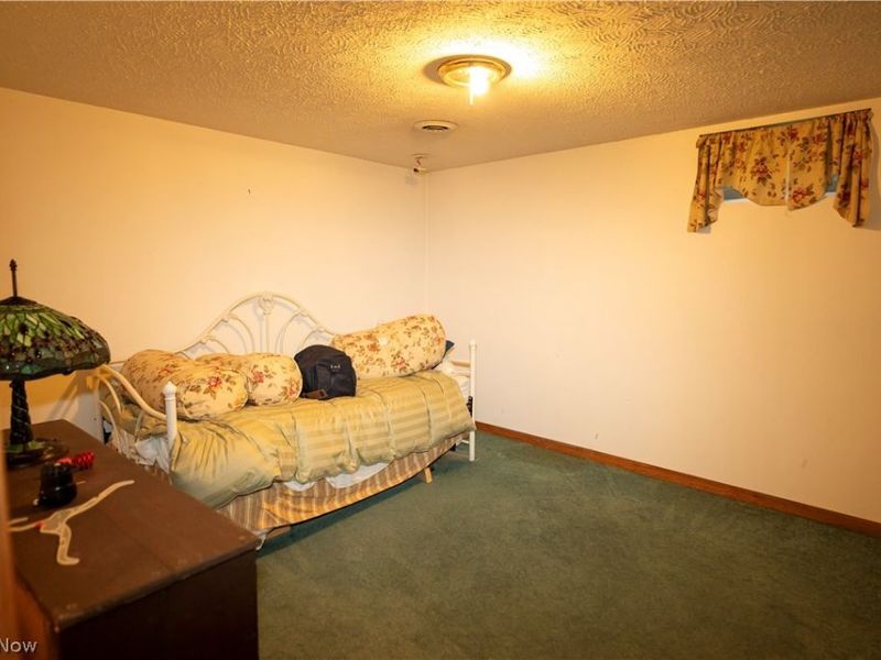 516 Walnut Street, Conneaut, OH 44030 Photo 23