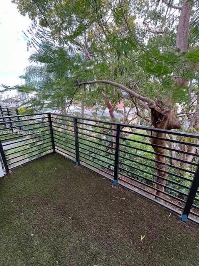 2511 Pierce St, Unit 4, Hollywood, FL 33020 Photo