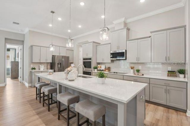 2716 W Mesa Verde Drive, Beverly Hills, FL 34465 Photo