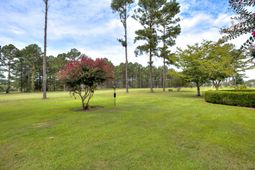 237 Plantation Drive photo 4