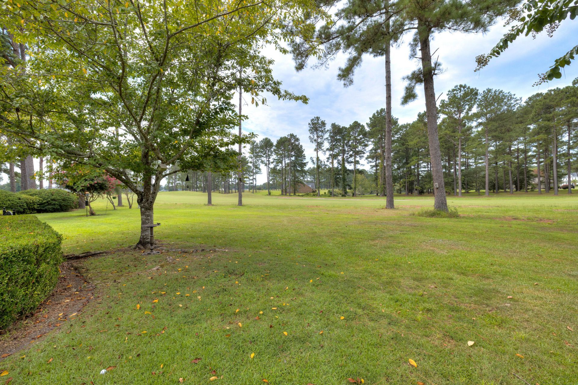 237 Plantation Drive Photo 6