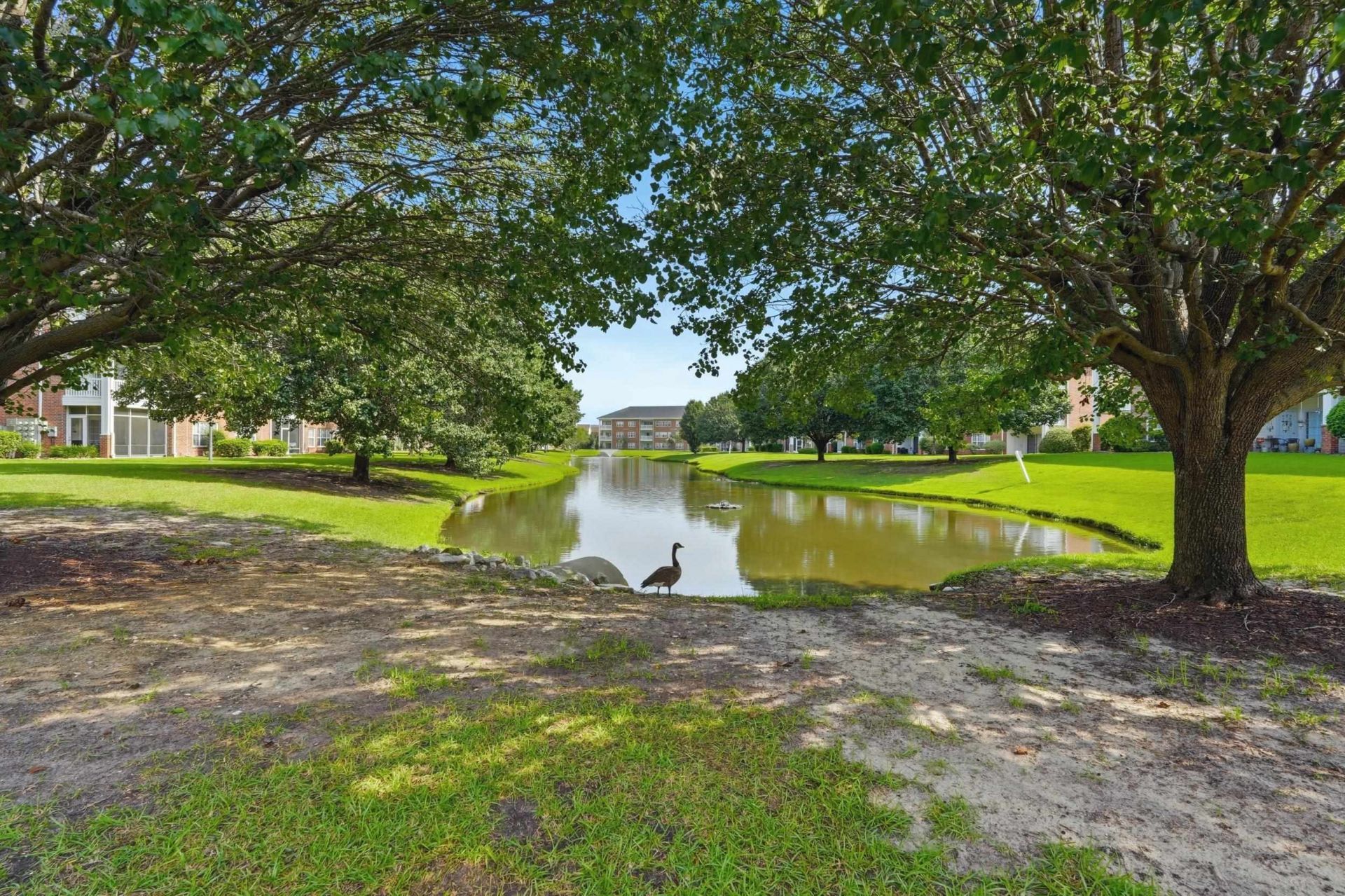3951 Gladiola Ct. Photo 31