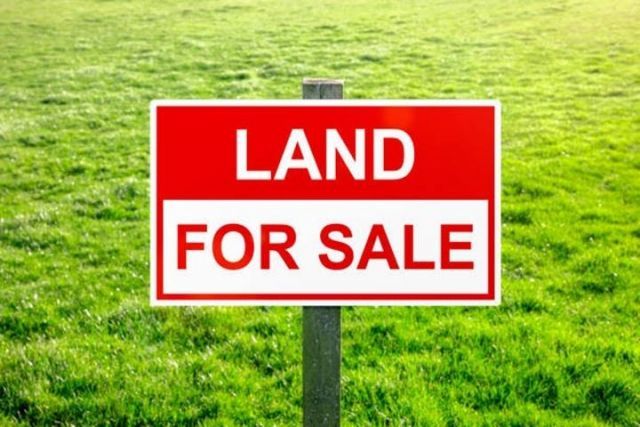 Tbd 24 Road, Lot #Lot 2, Grand Junction, CO 81505 Main Photo