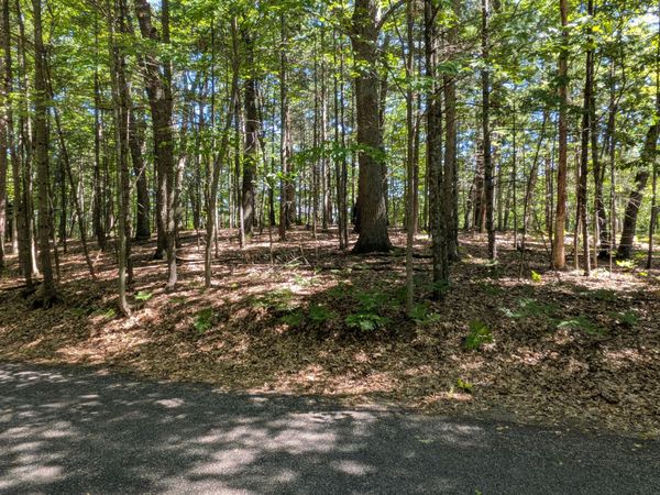 Ottawa Lane, Unit Lot 50, Pentwater, MI 49449
