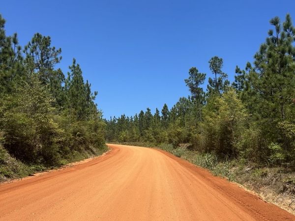 0 Highway 168, Century, FL 32535