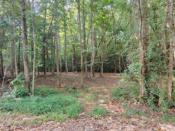 261 Brad St, Royston, GA 30662
