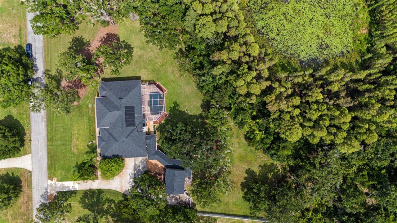 906 Lake Sapphire Lane, Lutz, FL 33548 Photo