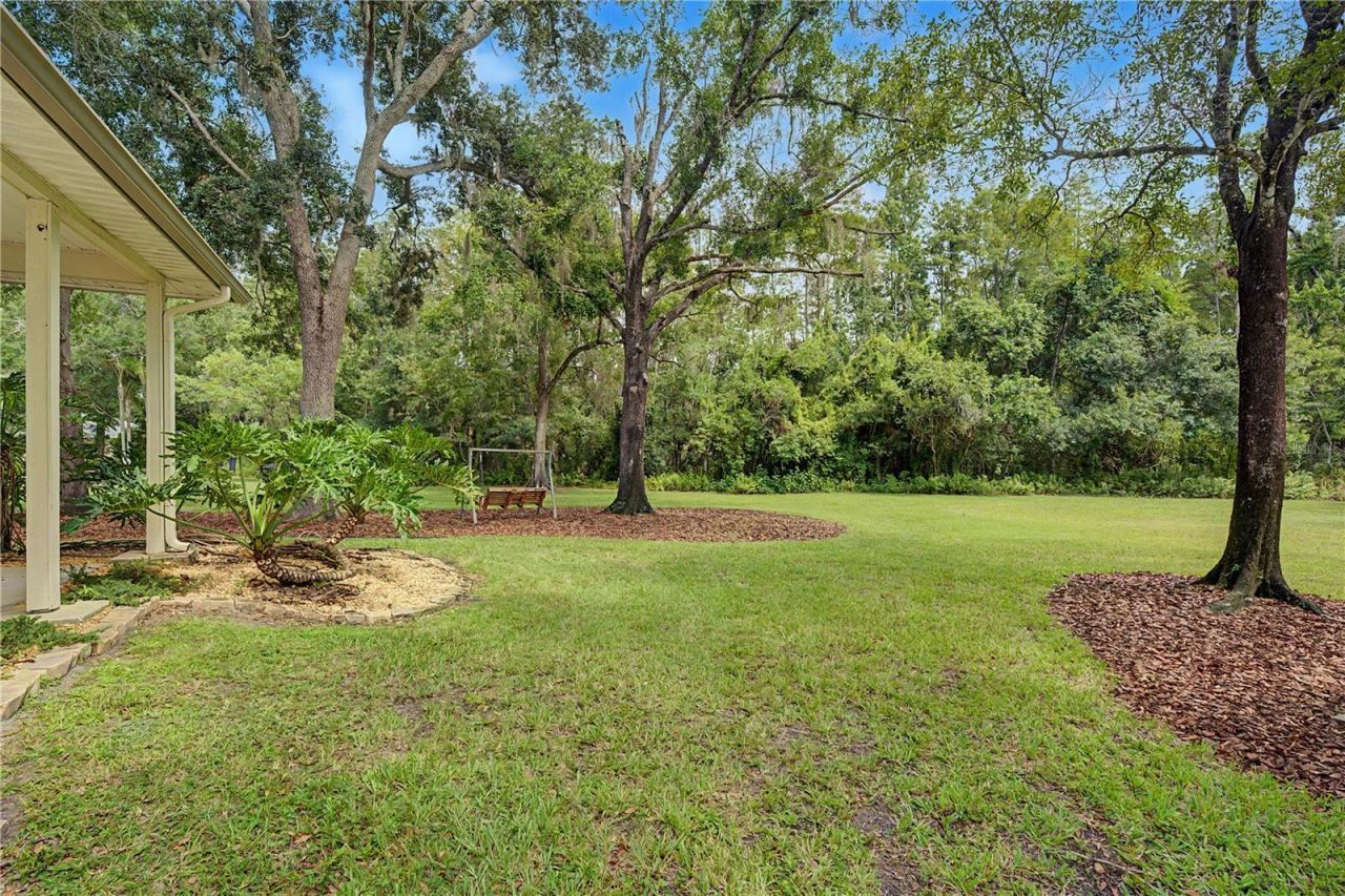 906 Lake Sapphire Lane, Lutz, FL 33548 Photo
