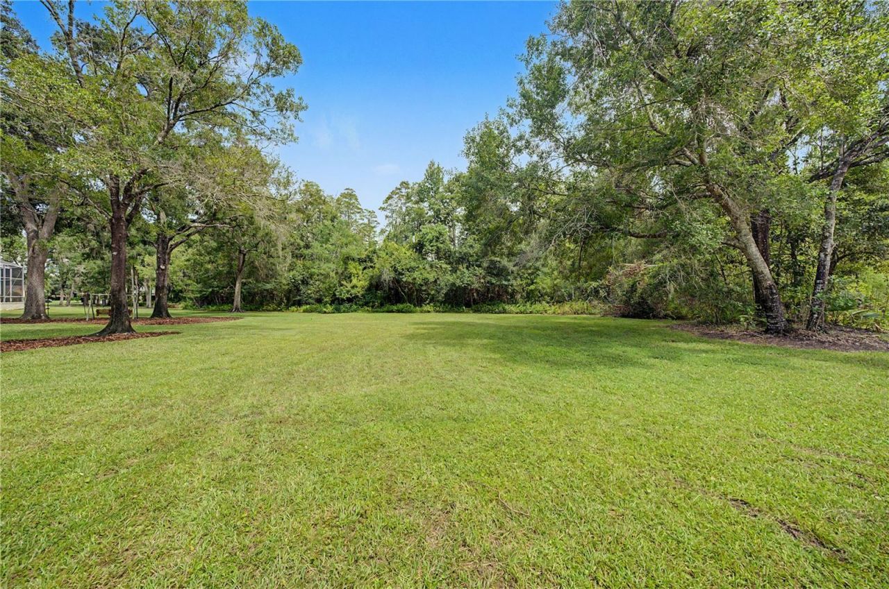 906 Lake Sapphire Lane, Lutz, FL 33548 Photo