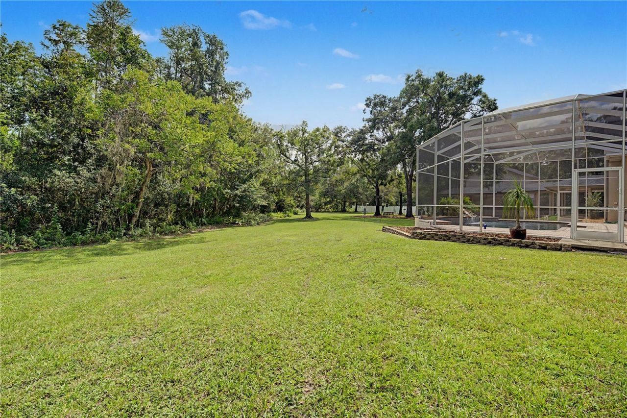 906 Lake Sapphire Lane, Lutz, FL 33548 Photo