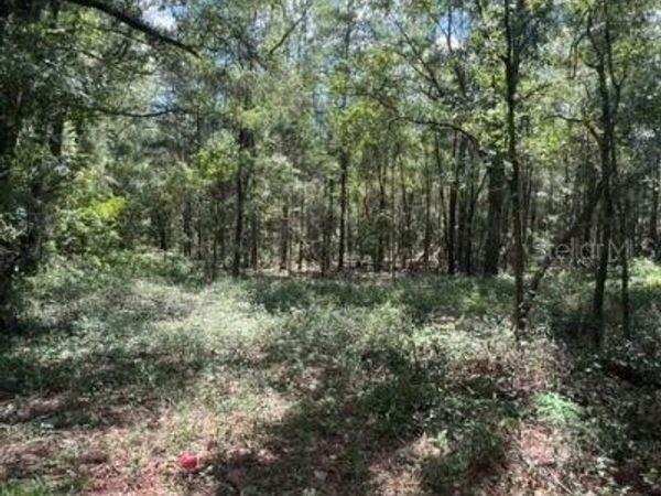 16958 NW US HWY 441 HIGHWAY NW, HIGH SPRINGS, FL 32643