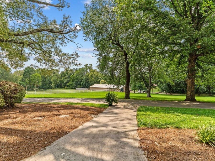 Property Image 80