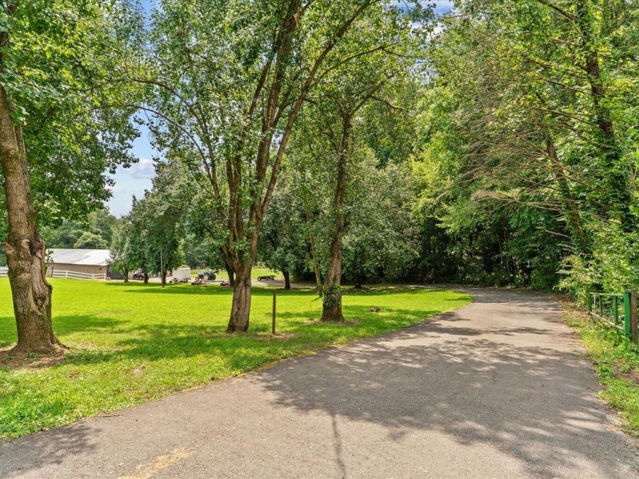 Property Image 81
