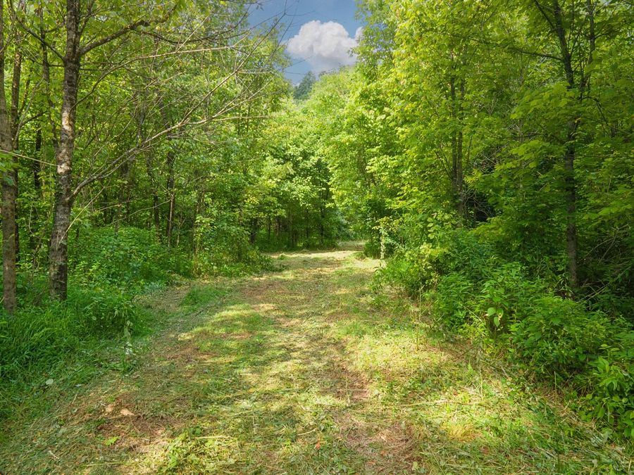 Property Image 18