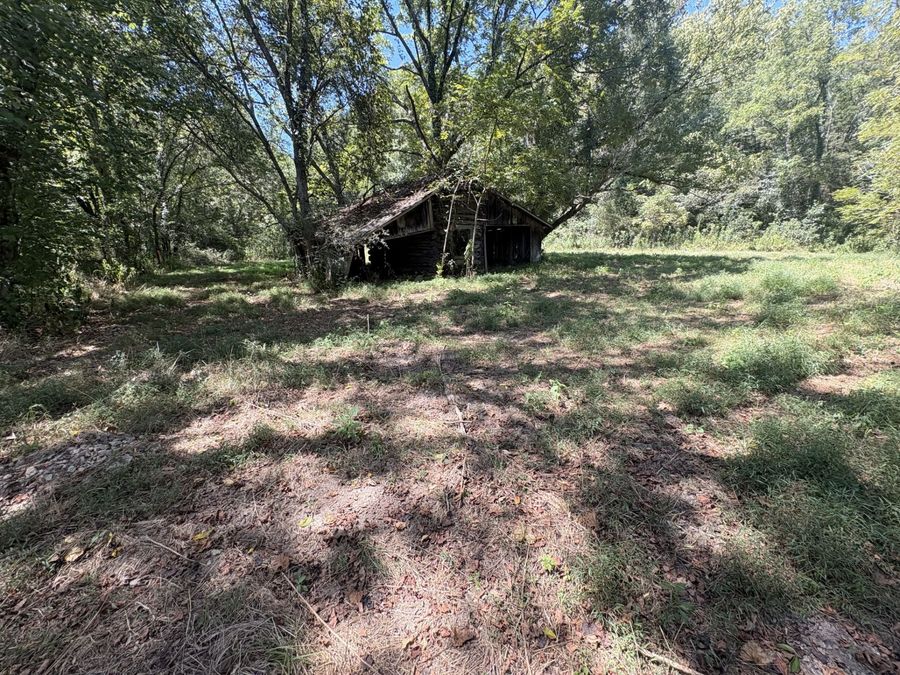 Property Image 45
