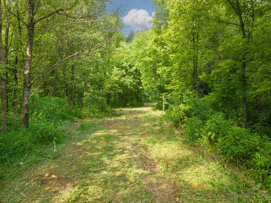 Property Image 18