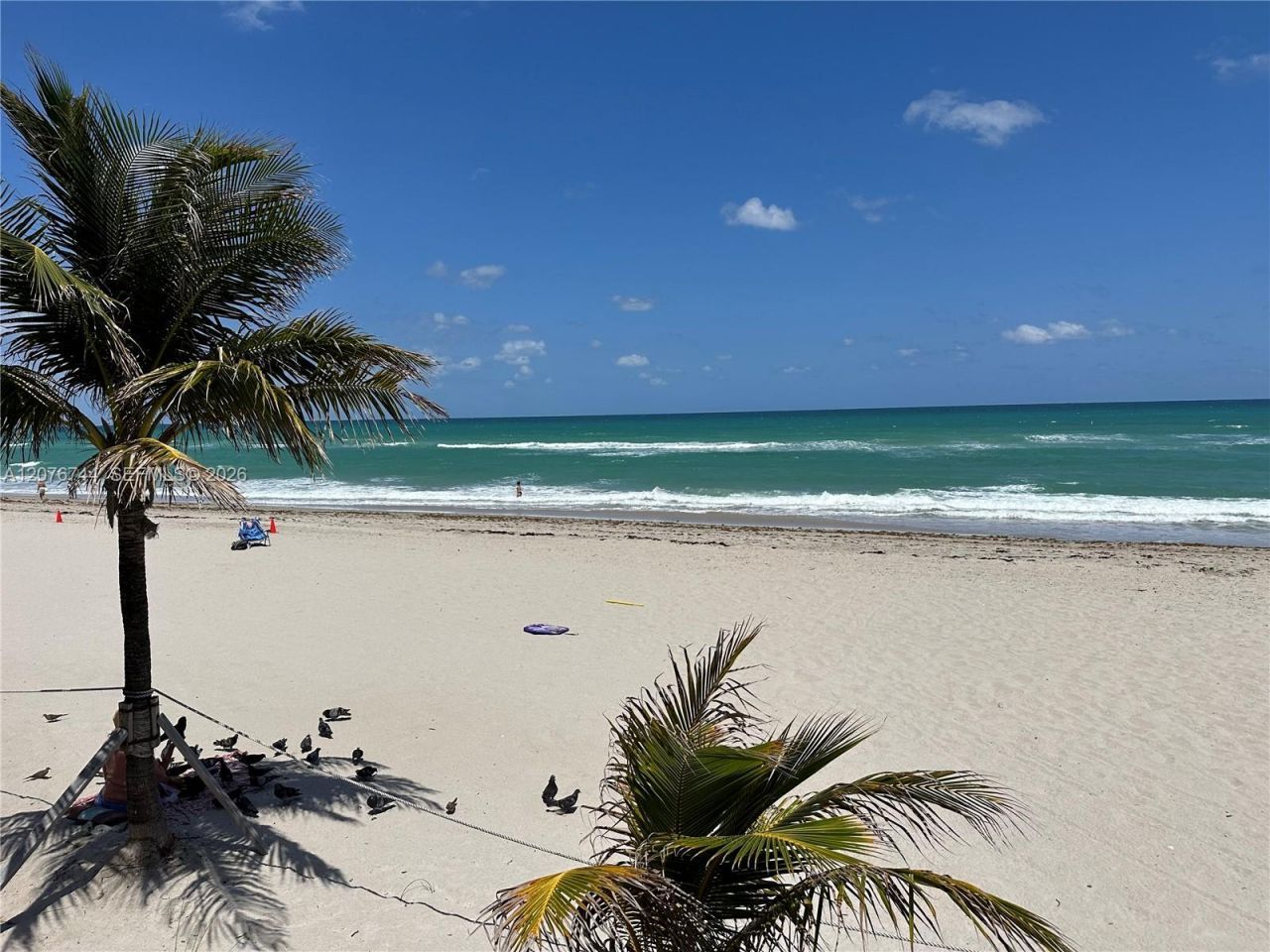 2030 S Ocean Dr , Unit 1611, Hallandale Beach, FL 33009 Photo
