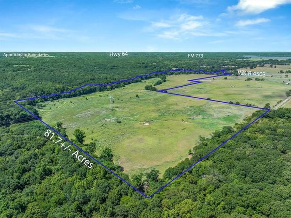 TBD VZ County Road 4503 , Ben Wheeler, TX 75754