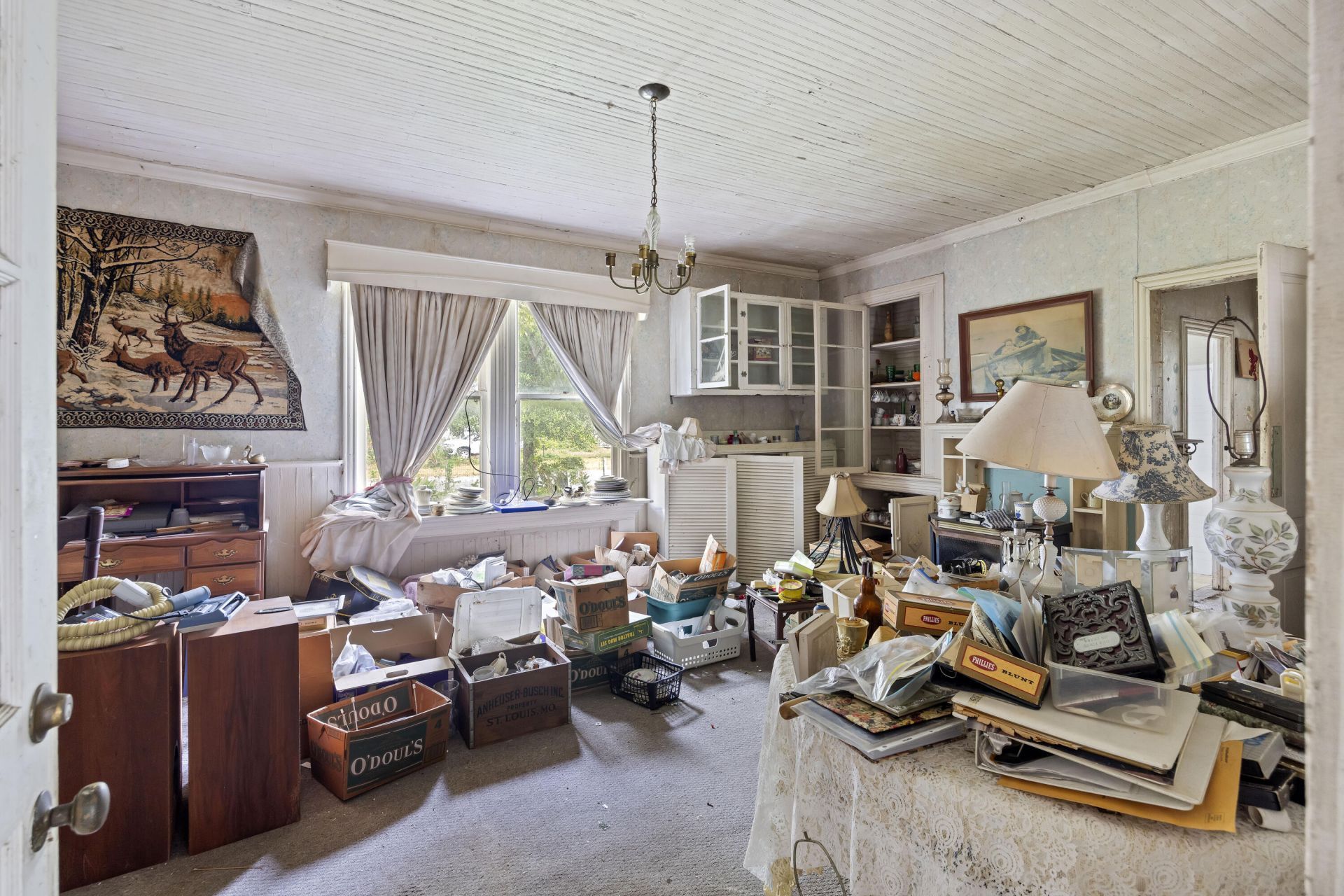 305 Dawson Street Photo 13