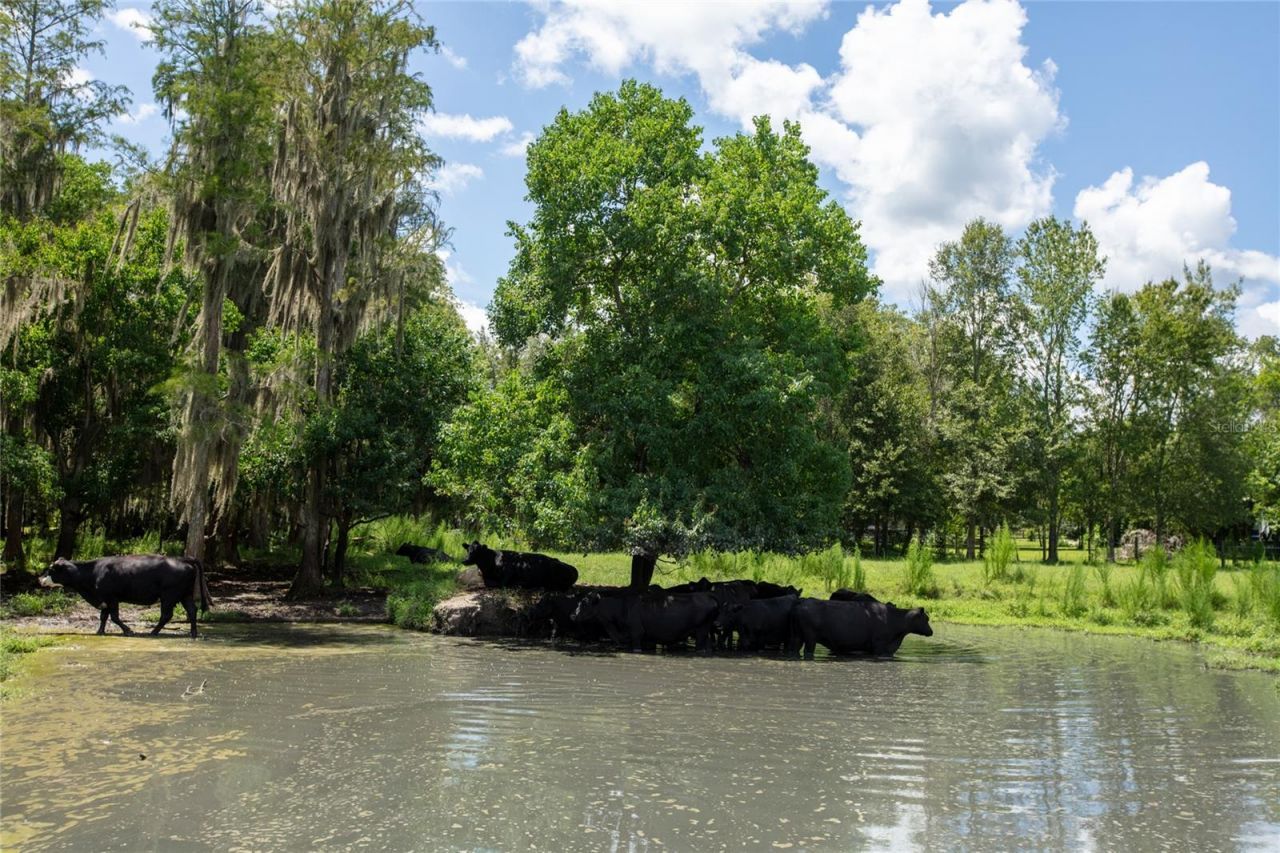 9284 NW Cr  225, Starke, FL 32091 Photo