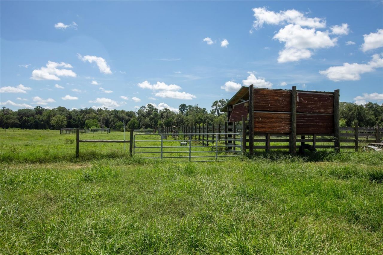 9284 NW Cr  225, Starke, FL 32091 Photo