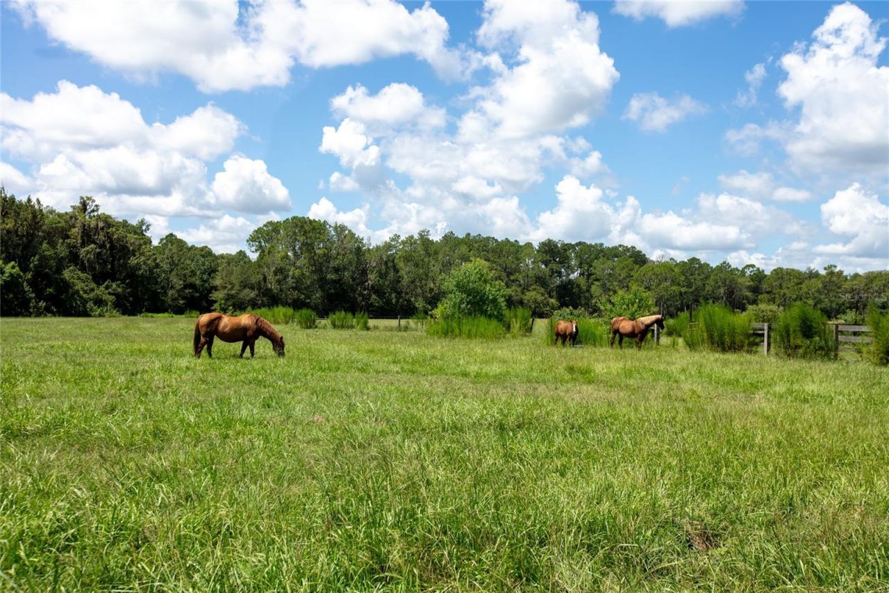 9284 NW Cr  225, Starke, FL 32091 Photo