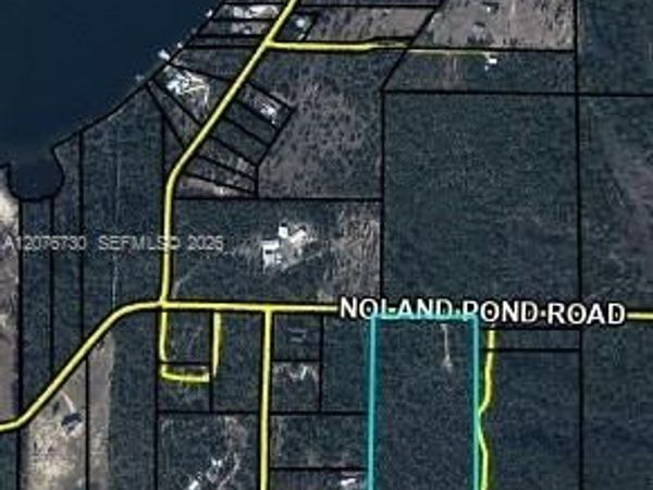 001 NOLAND POND RD, Alford, FL 32420