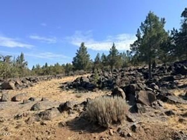 0 Fox Sparrow Drive, Unit 1218, Klamath Falls, OR 97601