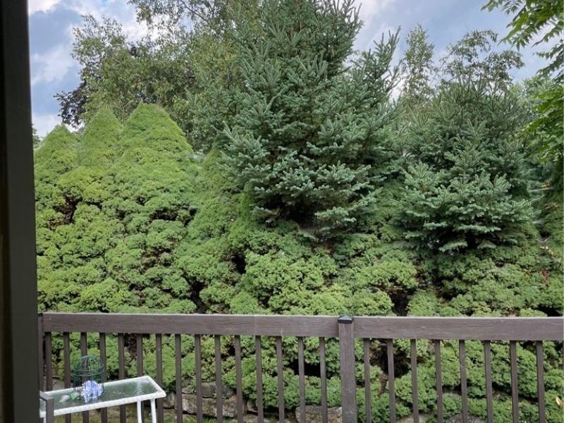 4911 NW Pond Drive NW, North Canton, OH 44720 Photo 20