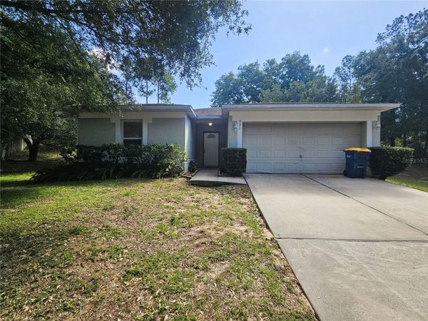 921 BRISTLE CONE COURT , MINNEOLA, FL 34715