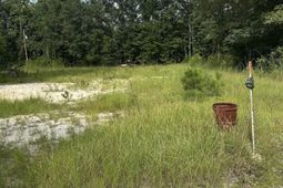 1219 Goffman Road  photo 4