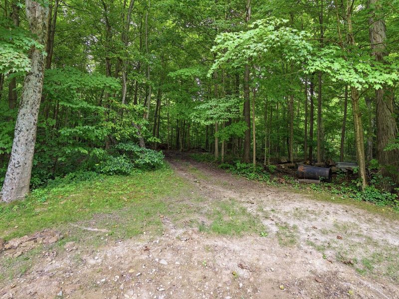 6245 Township Rd 179, Cardington, OH 43315 Photo 18