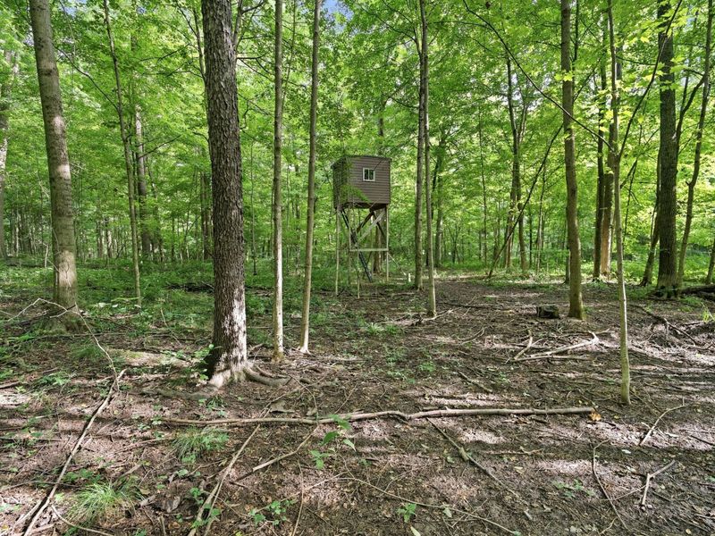 6245 Township Rd 179, Cardington, OH 43315 Photo 19