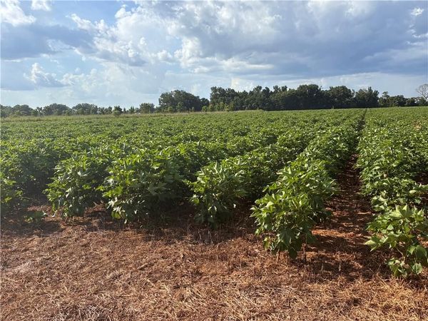 0 Davis Pond Road, Atmore, AL 36502