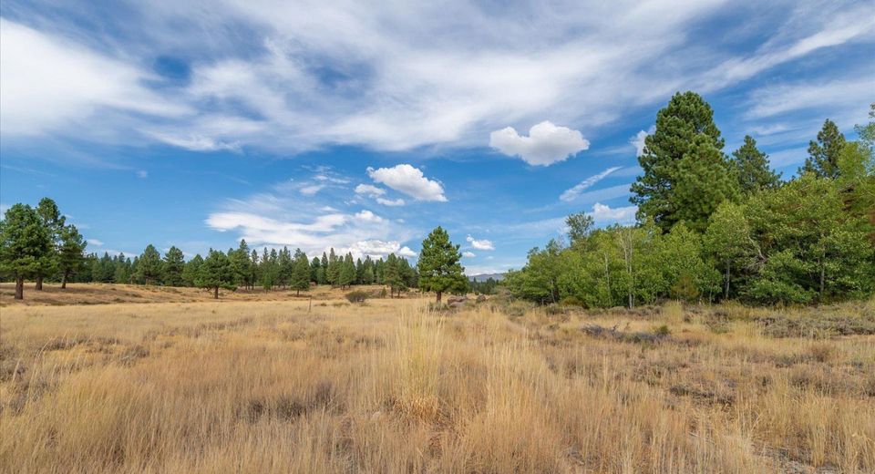 15880 Wellington Way , Truckee, CA 96161 Photo